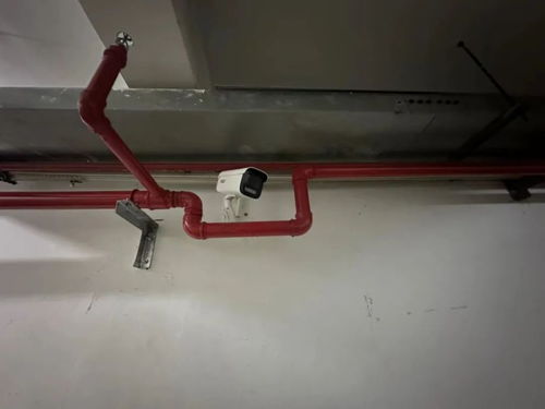 D1 一個(gè)時(shí)代的序幕