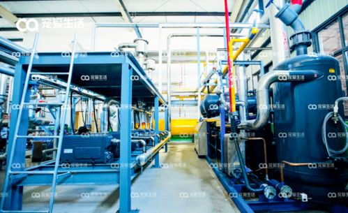 愛(ài)立方 從品牌到自建工廠，以D2級(jí)壓力容器專注打造凍干好物